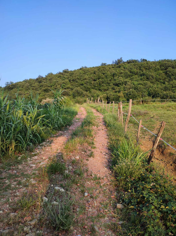 Travnik v bližini, cesta na hribu.